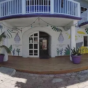 Les Trois Singes - Friendly Hostel Albergue
